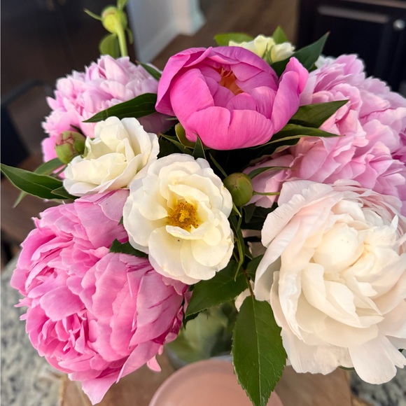 rebloombysarahm